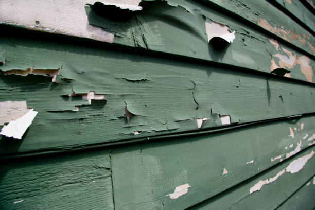 Best Commercial Junk Removal  in Dawson Springs, KY