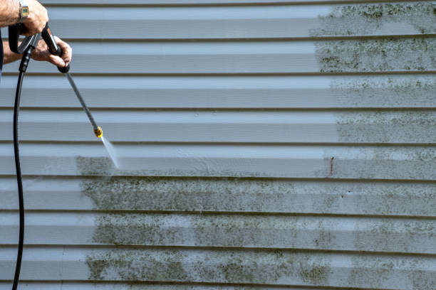 Best Hoarding Cleanup  in Dawson Springs, KY